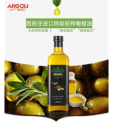 西班牙特级初榨橄榄油 